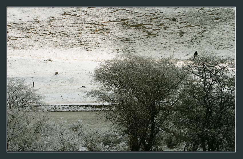 雪原 摄影 阿迷人