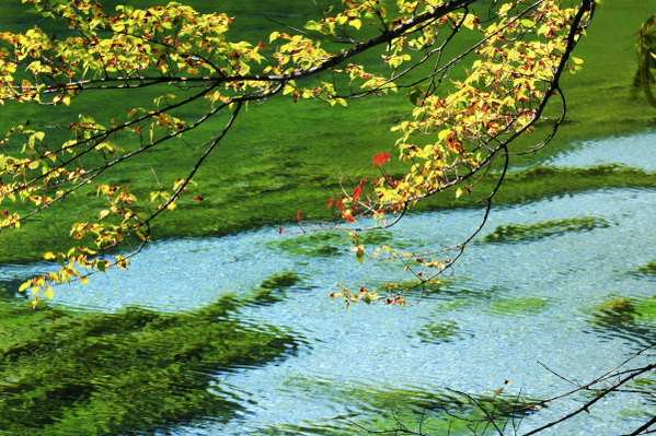 九寨沟　五花海　 摄影 九龙浴佛