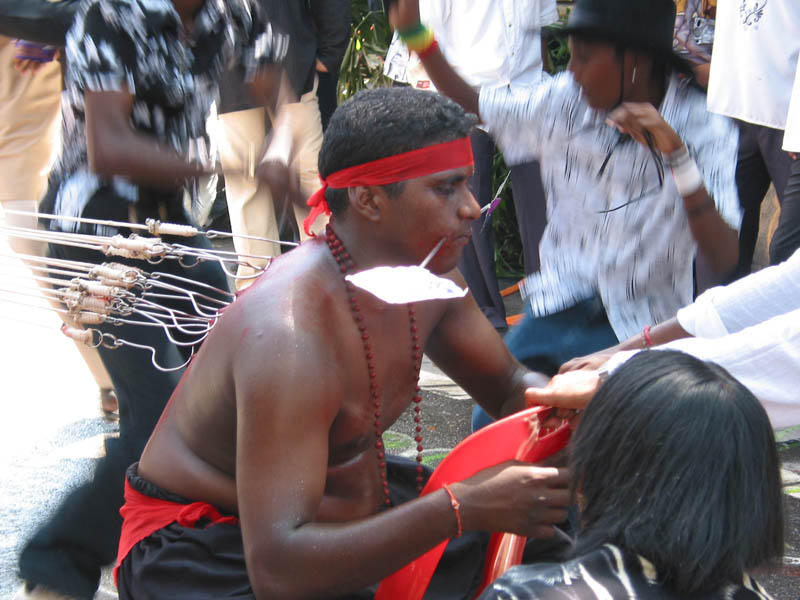 Thaipusum 摄影 陈伟源