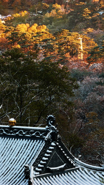 《深秋初雪》 摄影 秋婵