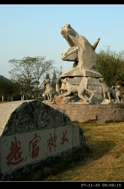 越宫神犬 摄影 越野游子