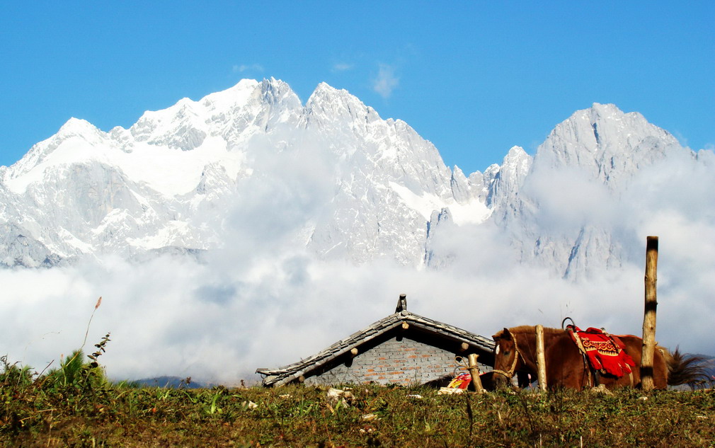 风光无限（十）--- 玉龙雪山近景 摄影 金风