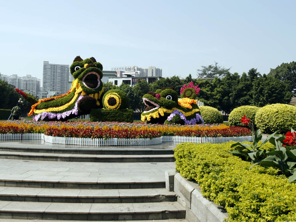 植物造型 摄影 天上来