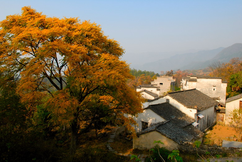 秋染塔川 摄影 古月桥