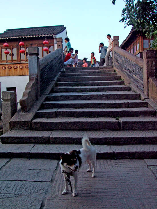 城市风景线－小桥即景 摄影 赋欲