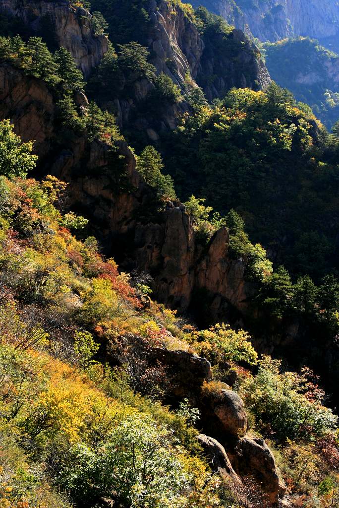 层峦叠翠 摄影 悄悄地