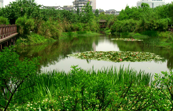 成都-浣花公园 摄影 走过的路