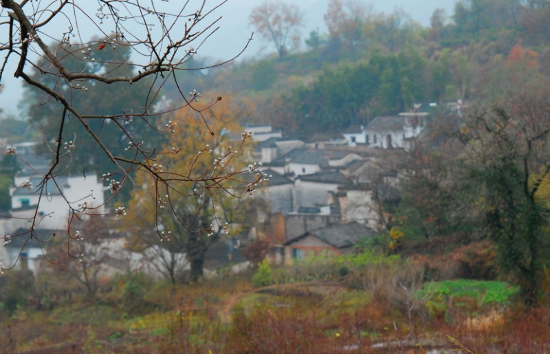 塔川山村（1） 摄影 zhenshan