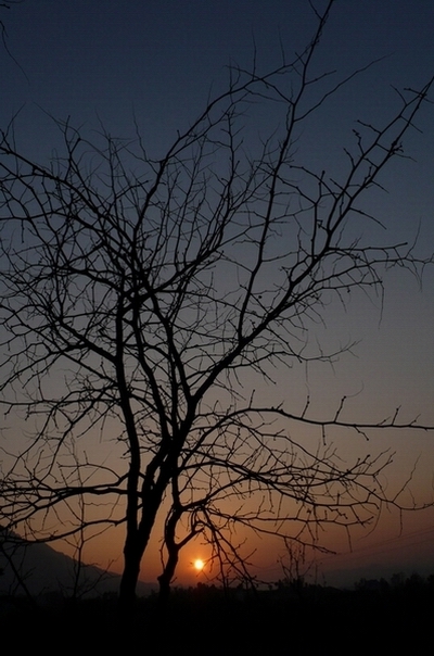 夕阳 摄影 闻笑语