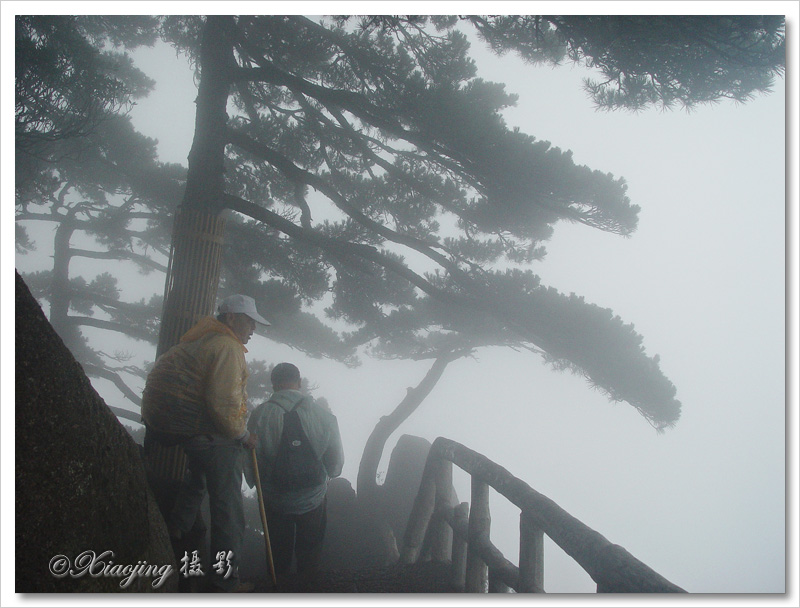 黄山行16-雾锁黄山 摄影 却尘