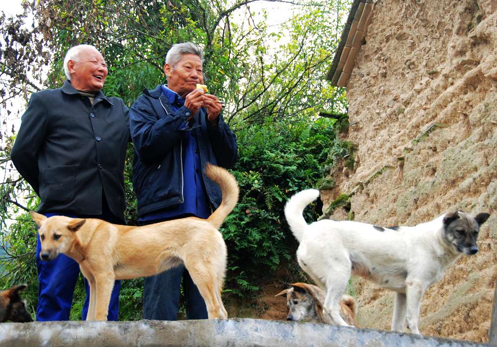 老哥俩和他们的狗 摄影 温馨