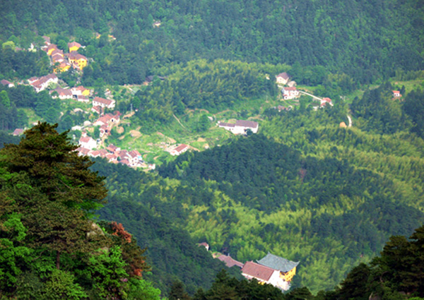 春满九华 摄影 江淮一山