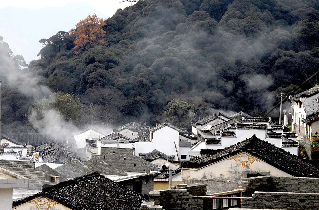 山村炊烟 摄影 短颈鹿