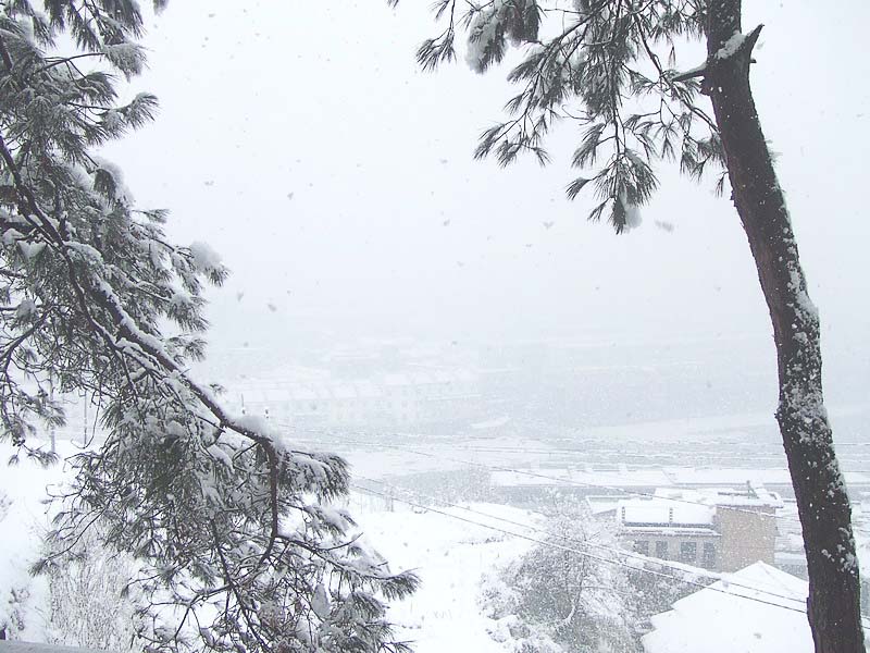 雪中山城 摄影 司空情缘