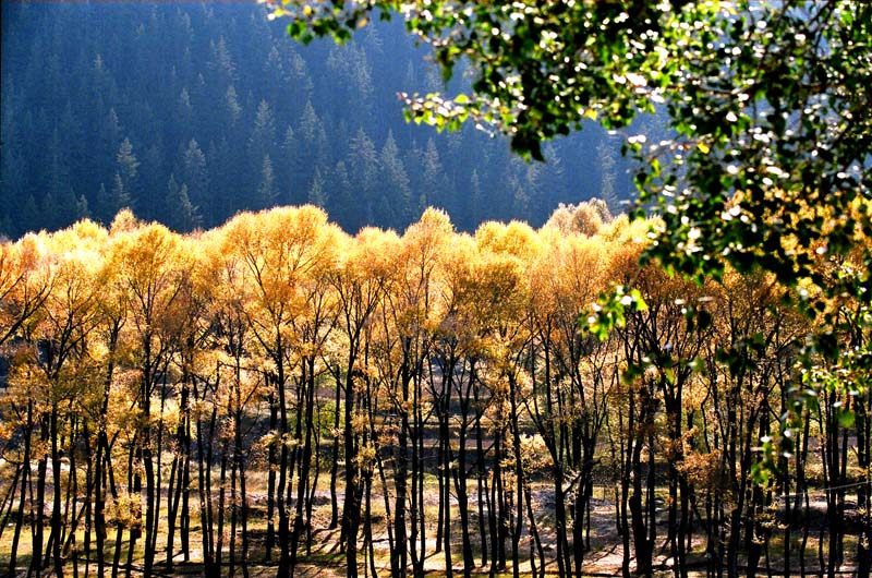 霜晨 摄影 山民野夫