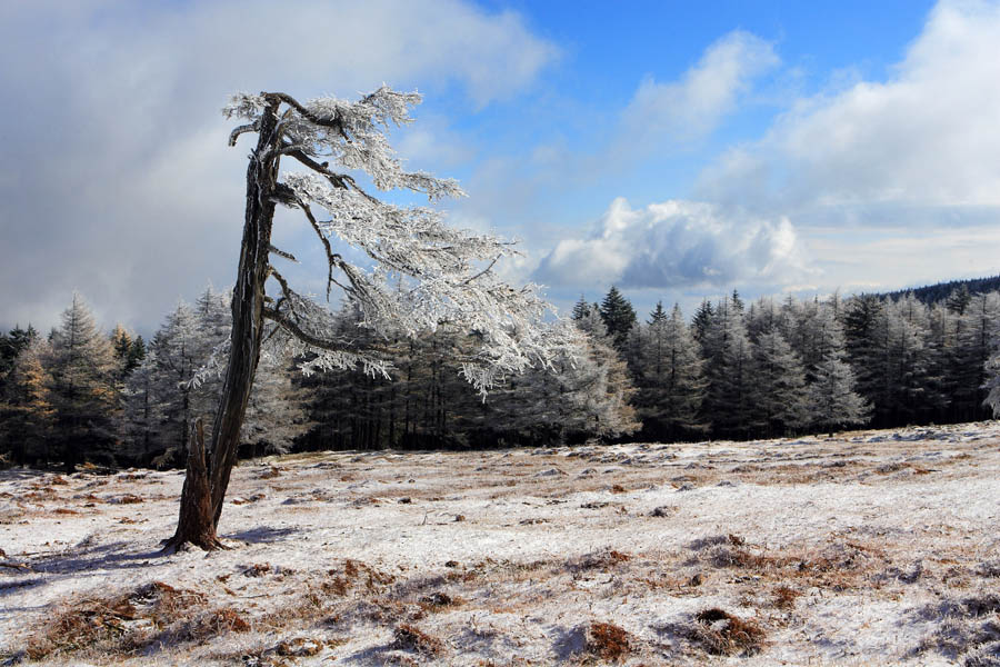 芦芽山风光 摄影 forestphoto