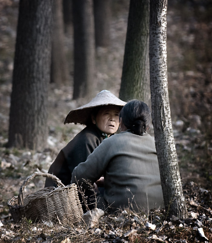 秋语家常 摄影 布衣山农