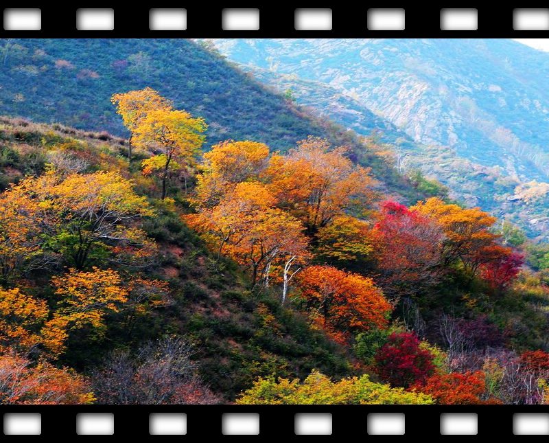 小井沟秋韵 摄影 峡谷