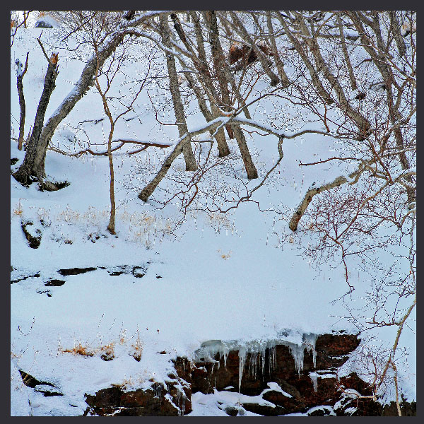 雪景2 摄影 屋子