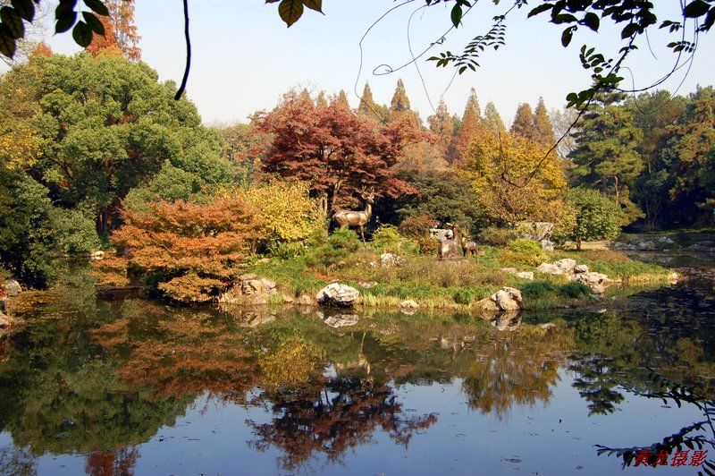 植物园 摄影 黄龙