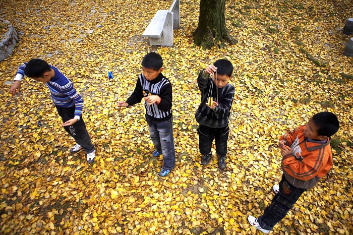 金色童年 摄影 姚北人家