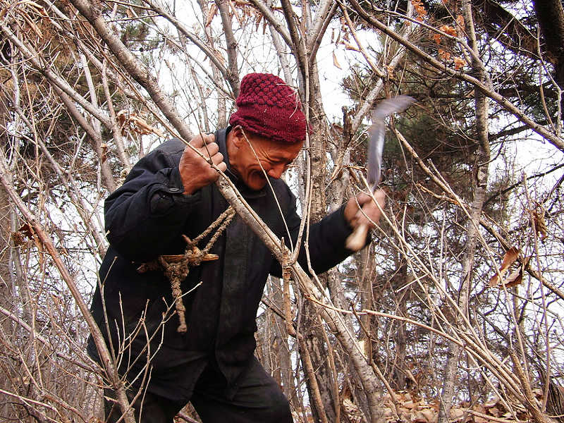 就地取材 摄影 山川行者