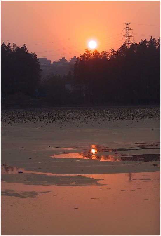 夕阳下 摄影 草香人远