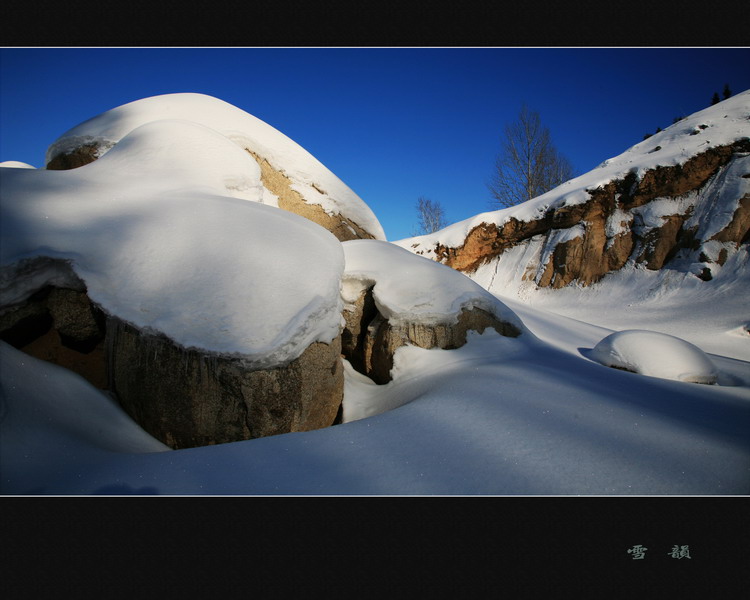 雪韵 摄影 qinquan