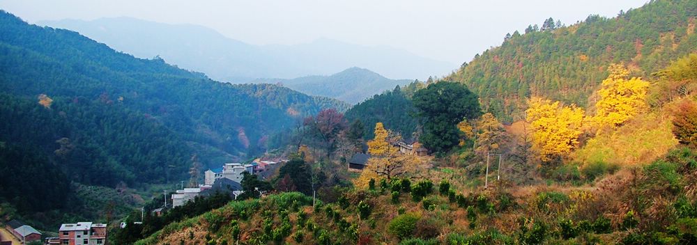 南方乡村 摄影 阳光味道