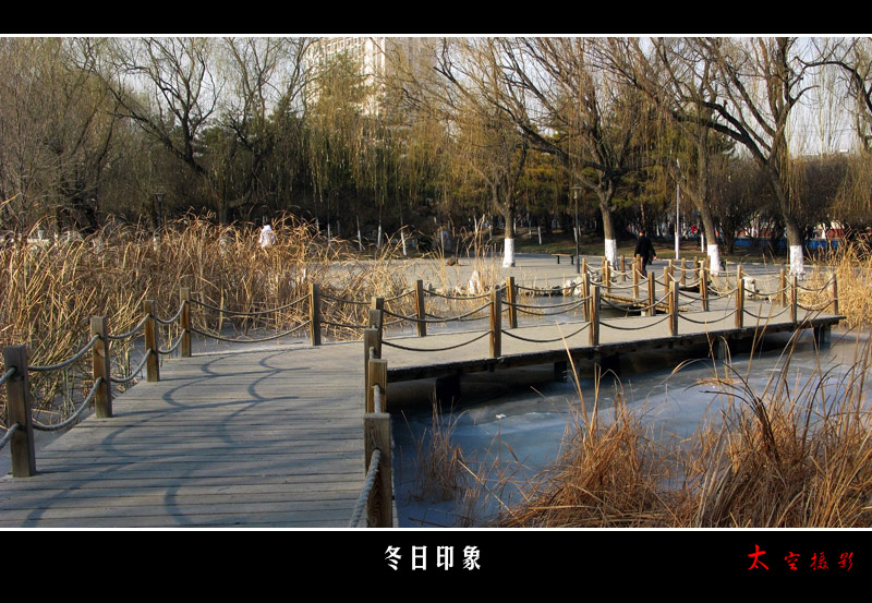 《冬日印象》 摄影 太空