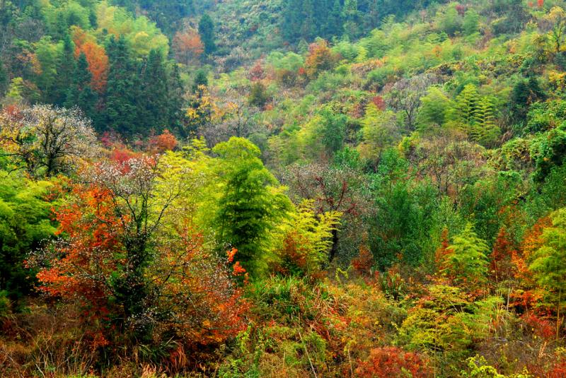 塔川仲秋山景 摄影 zhenshan