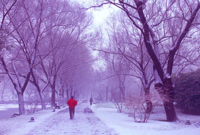 初雪 摄影 宁宁