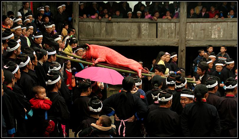 幸福的死猪 摄影 亚翌晖