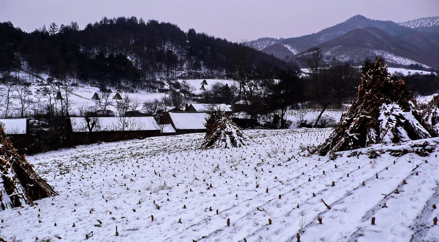 《雪色傍晚》 摄影 秋婵