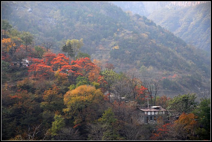 深秋的太行山 摄影 惜不相逢