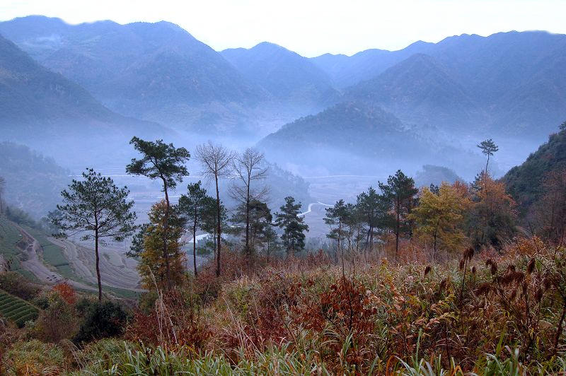 冬雾四明山! 摄影 湖边醉月