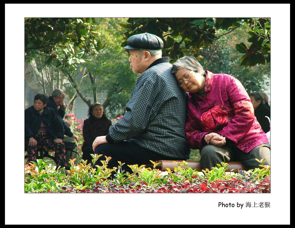 还是这个肩膀“靠”得住！ 摄影 海上老猴