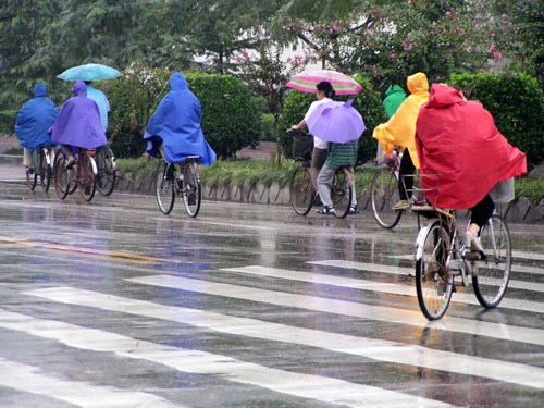 雨天 摄影 人中龙