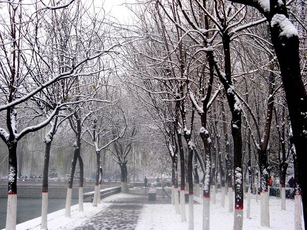 雪后 摄影 天会晴