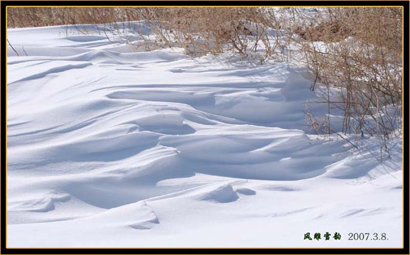 风雕雪韵 摄影 银雪