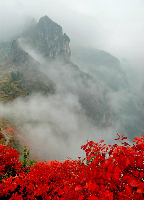 巫山烟云. 摄影 楠松林