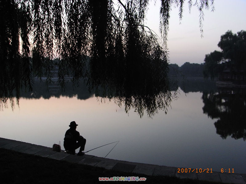 怡然 摄影 都越来越好