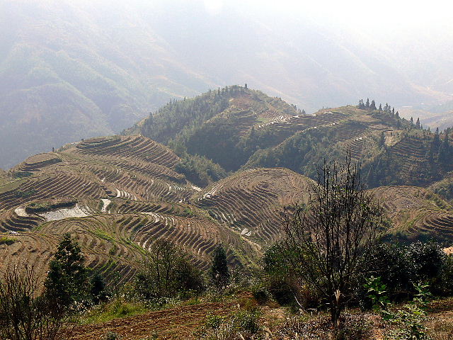 龙胜梯田 摄影 厚地天高