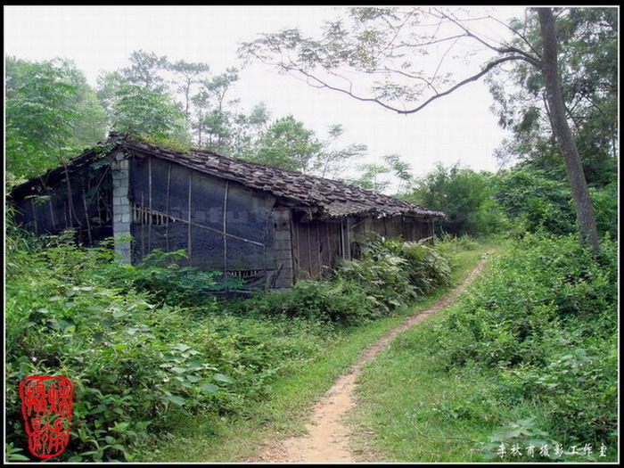 山间小屋 摄影 李秋甫