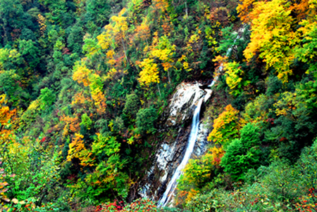 山溪流水(光雾山) 摄影 CVCC2.2