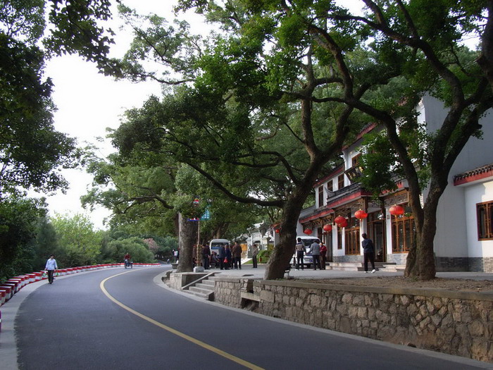 法雨路 摄影 大云山