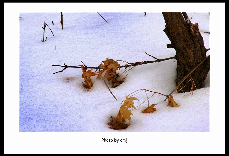 零度之二 摄影 卧雪听风