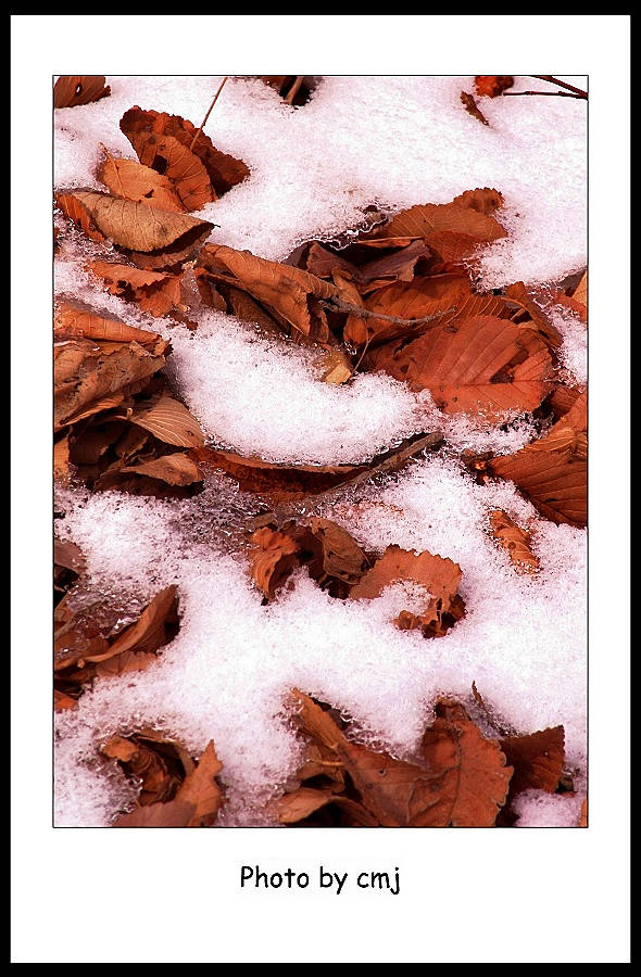 零度之三 摄影 卧雪听风