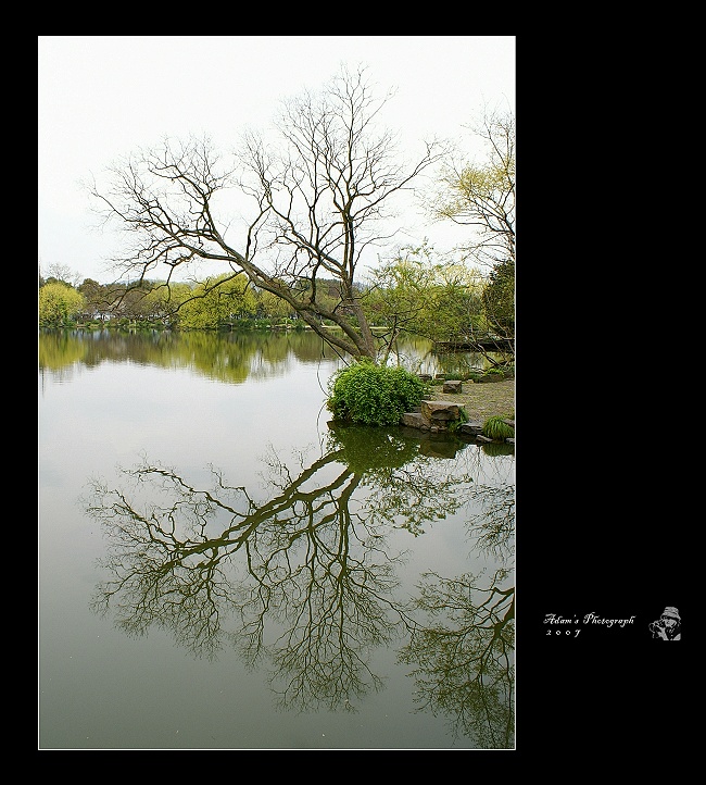 西湖早春映象 （五） 摄影 AdamHsu