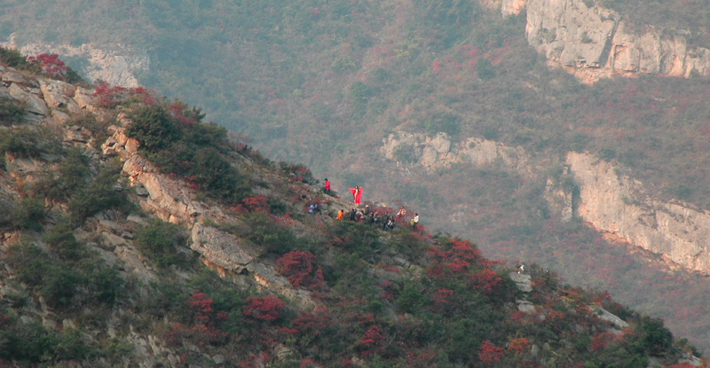 红叶飘红 摄影 青石街